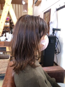 チョコレート(chocolate) ソフトウルフ