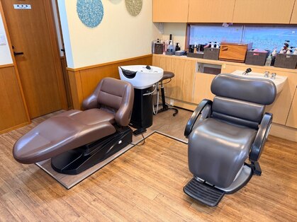 サクラ(Sakura)の写真