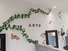 アンツ 糸島(Ants)