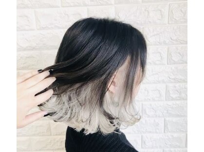 ケルサス(celsus)の写真
