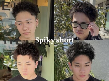 シェルハ(SHELHA)の写真