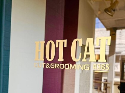ホットキャット サンロクゴ(HOT CAT 365)の写真