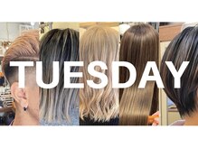 チューズデー(TUESDAY)