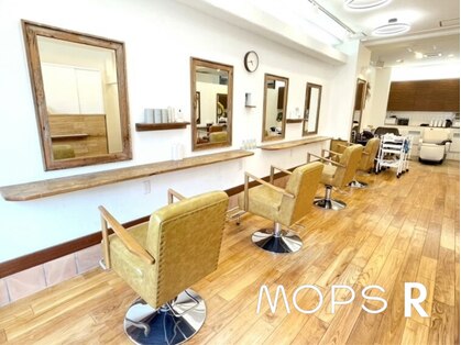 モップス アール(MOPS R)の写真