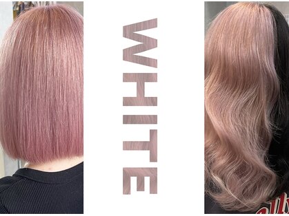 ホワイト(WHITE)の写真