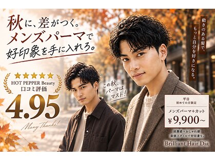 ブリリアント ヘアー ダイヤ(Brilliant Hair Dia)の写真