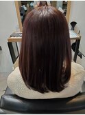ミディアムボブ (20代~30代)