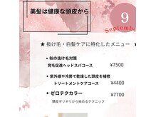髪結 来羅の雰囲気（９月美髪キャンペーン　抜け毛、白髪ケア、育毛促進メニュー）