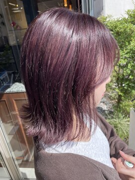 クワリ ダークラベンダーカラー