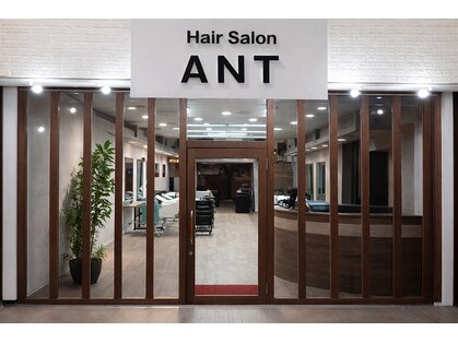 アント(ANT)の写真