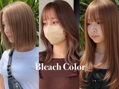 シェルハ(SHELHA)の写真