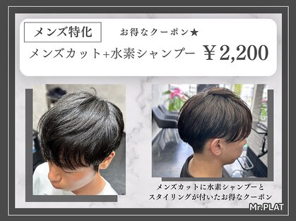 ミスタープラット(Mr.PLAT)の写真
