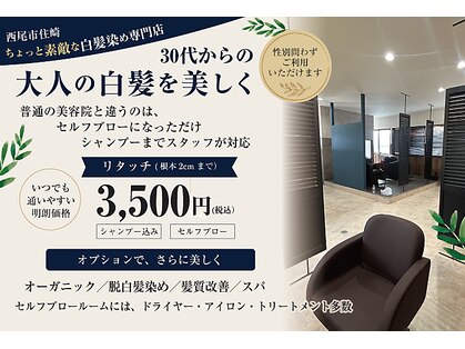 ネイビー(NAVY)の写真