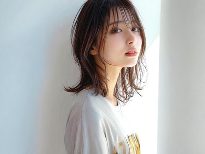 パダ(PADA)の写真