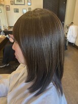 ピクシーボブ(Pixie Bob)&nbsp;ハイライトカラー