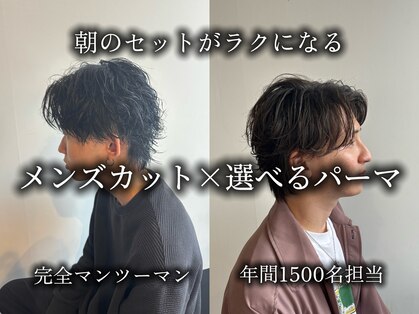 テト(teto)の写真