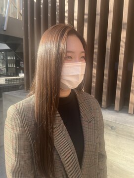 レッドネオ エビス(Redneo ebisu) 透け感ブラウン_241