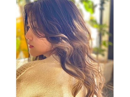 ブラウンヘアー(BROWN HAIR)の写真