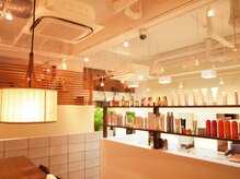 アレグレ ヘアーリゾート(alegre hair resort)の雰囲気（本当に髪を綺麗に！大事に！をかなえる商品多数おいてます！）