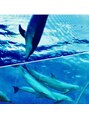 トライブ クリエートサロン(TRIBE create salon by SERVE)&nbsp;イルカが大好きで色々な水族館へ行きます