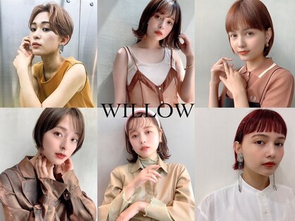 ウィロー(WILLOW)の写真