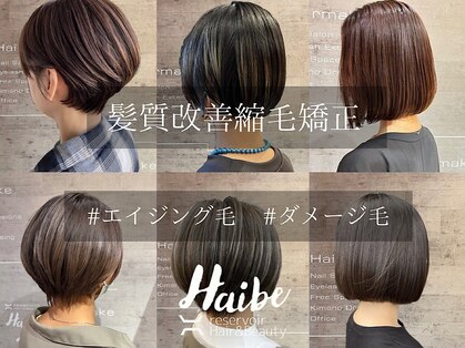 レザボアハイブ(reservoir Haibe)の写真