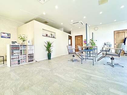 コア(core)の写真