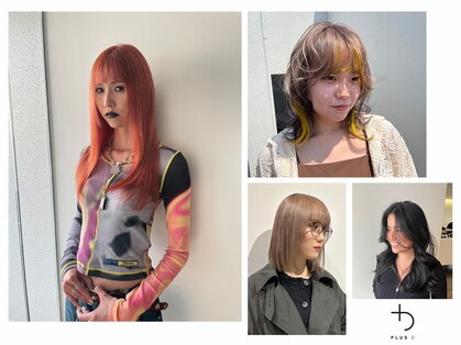 プラスディー(+D)の写真