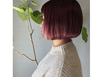 ローレン(Rolen.)の写真