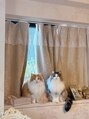 リエットサローネ(Lieto Salone)&nbsp;猫を３匹飼っています！