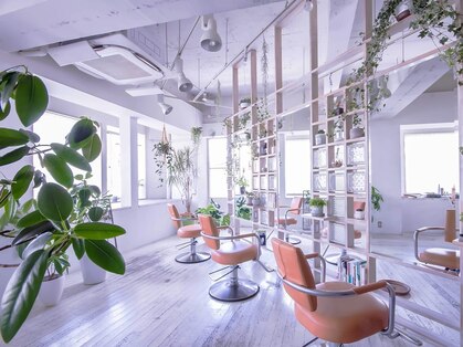 アシャ ヘアー ソリューション 神戸店(asha hair solution)の写真