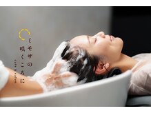 ミモザの咲くころにの雰囲気（至福のひとときを・・・♪）