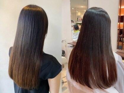 シロ(Shiro)の写真