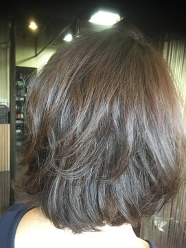 ヘアーエヌプラス (HAIR N+) ミディアムP　ノームコア2
