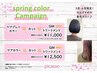 spring colorCampaignケアカラー+カット+GMトリートメント￥12.500~