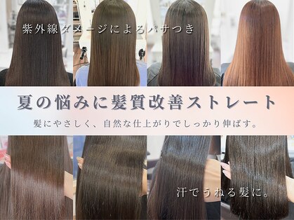 リタ(rita)の写真