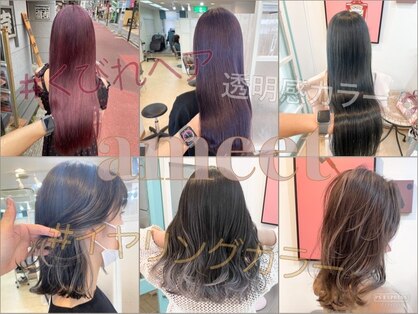 アミート(ameet)の写真