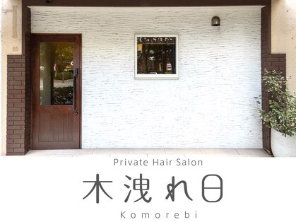 木洩れ日の写真