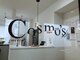 コスモス(Cosmo’s)の写真