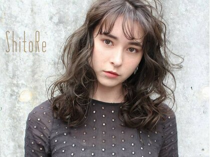 シトリ(ShitoRe)の写真