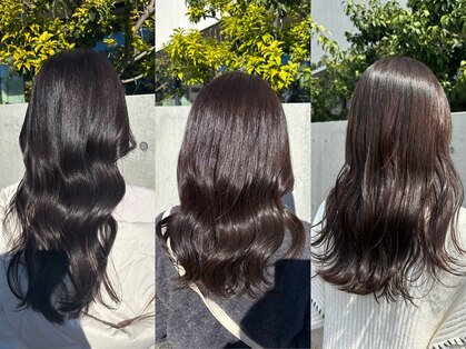 リス(Lis)の写真