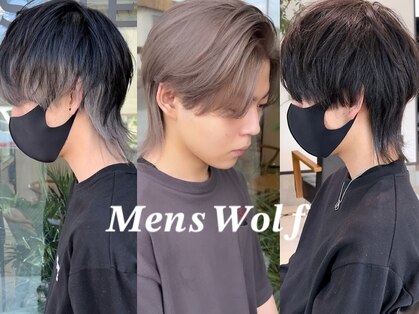シェルハ(SHELHA)の写真