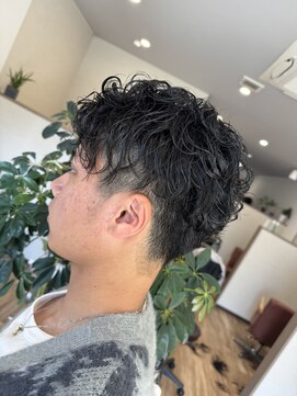 ツリーズ(Trees) サーフカール