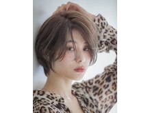 リーヴァ プラス(RIVA +)