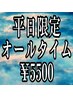 平日限定【オールタイム】スタンダードヘアセット￥5500