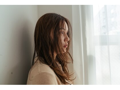 ベター(better)の写真