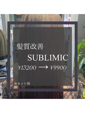 ヴィオラスバイポッシュ ギンザ(Violus by Posh GINZA) 髪質改善byサブリミック（酸熱トリートメント）