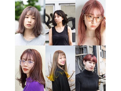 キーノ(kino)の写真