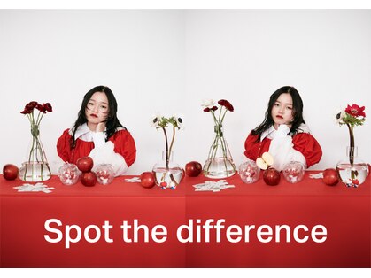 サカット(sacatto)の写真