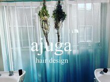 アジュガヘア(ajuga hair)の雰囲気(外からの光も入る雰囲気)